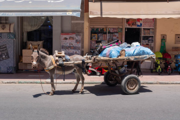 DSF2700 DSF2700