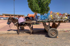 IMG_0314 IMG_0314