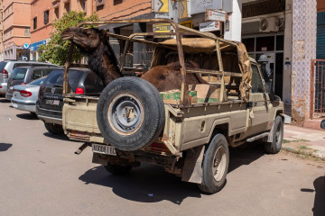 Nomad, Landrover