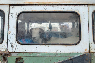 Nomad, Landrover