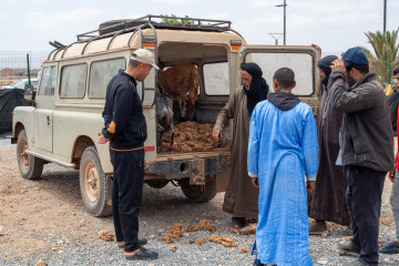 Nomad, Landrover Nomad, Landrover
